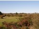 Lot 77 Thunder & Lightning Road, Cape Barren Island TAS 7257