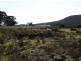 Lot 77 Thunder & Lightning Road, Cape Barren Island TAS 7257