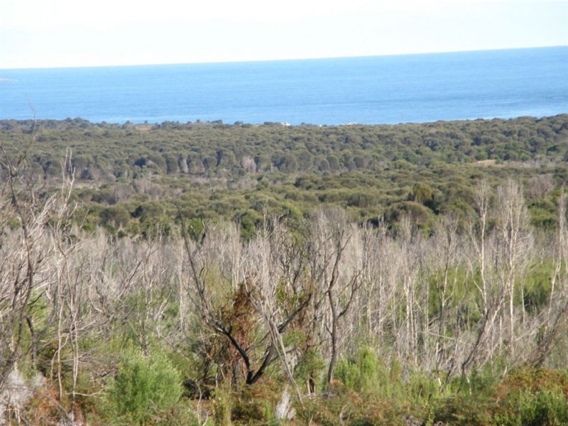 Lot 25 Thunder & Lightning Road, Cape Barren Island TAS 7257