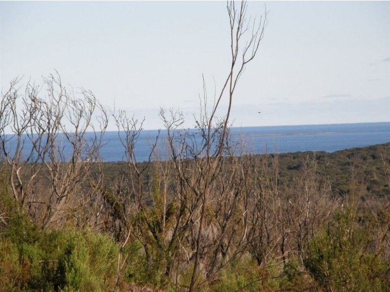 Lot 25 Thunder & Lightning Road, Cape Barren Island TAS 7257