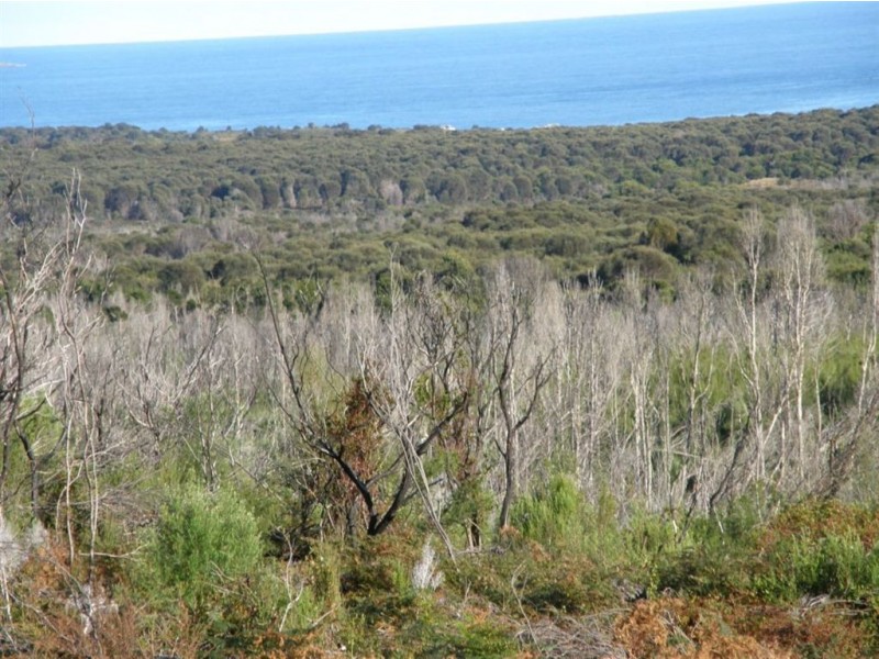 Lot 25 Thunder & Lightning Road, Cape Barren Island TAS 7257