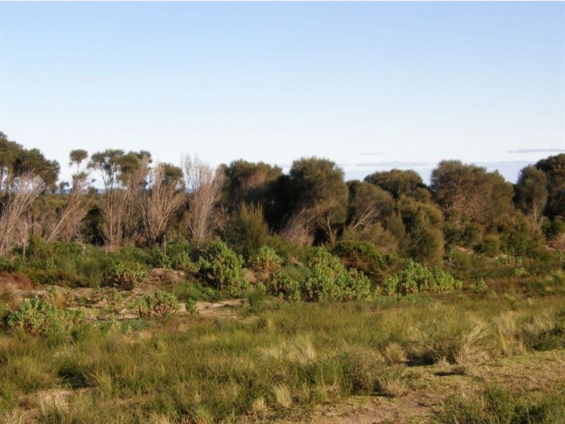 Lot 37073 Thunder & Lightning Road, Cape Barren Island TAS 7257