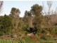 Lot 37073 Thunder & Lightning Road, Cape Barren Island TAS 7257