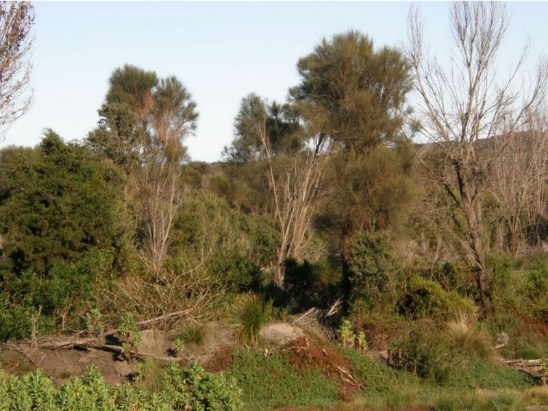 Lot 37073 Thunder & Lightning Road, Cape Barren Island TAS 7257