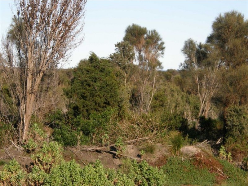 Lot 37073 Thunder & Lightning Road, Cape Barren Island TAS 7257
