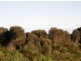 Lot 37073 Thunder & Lightning Road, Cape Barren Island TAS 7257