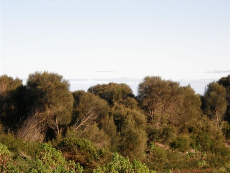 Lot 37073 Thunder & Lightning Road, Cape Barren Island TAS 7257
