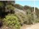 Lot 35 Long Beach Road, Cape Barren Island TAS 7257