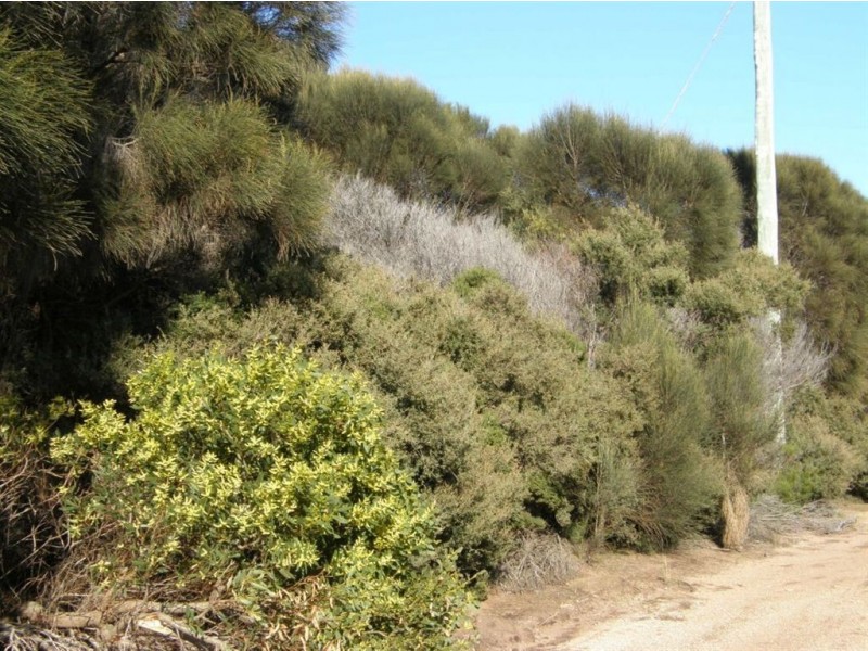Lot 35 Long Beach Road, Cape Barren Island TAS 7257
