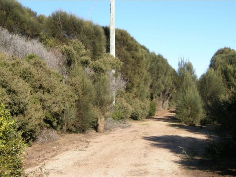 Lot 35 Long Beach Road, Cape Barren Island TAS 7257
