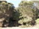 Lot 35 Long Beach Road, Cape Barren Island TAS 7257