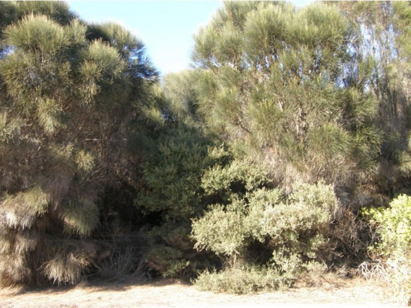 Lot 35 Long Beach Road, Cape Barren Island TAS 7257