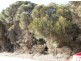 Lot 35 Long Beach Road, Cape Barren Island TAS 7257
