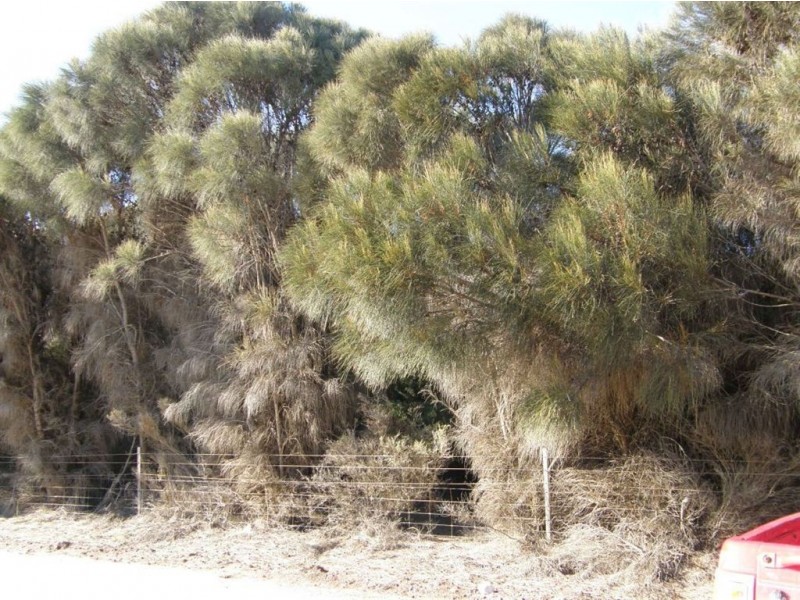 Lot 35 Long Beach Road, Cape Barren Island TAS 7257