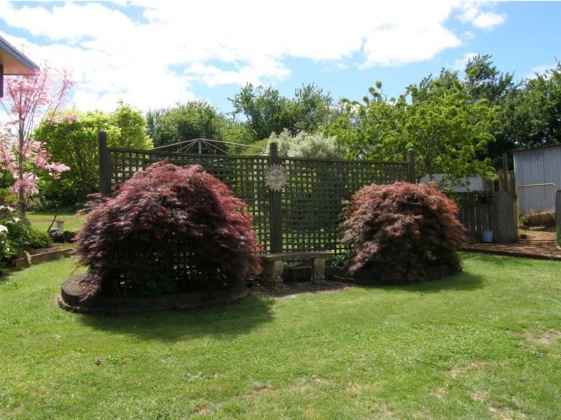 89 King Street, Scottsdale TAS 7260