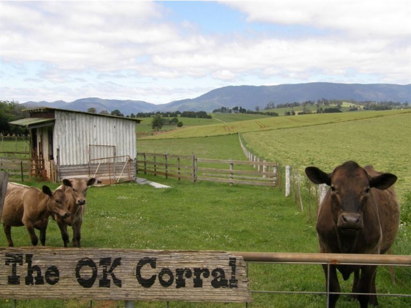 89 King Street, Scottsdale TAS 7260