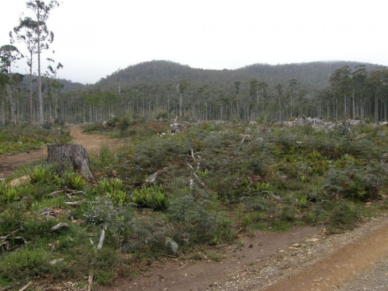 436 White Mills Road, Underwood TAS 7268