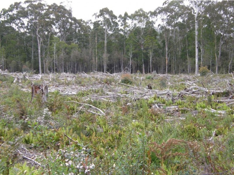 436 White Mills Road, Underwood TAS 7268