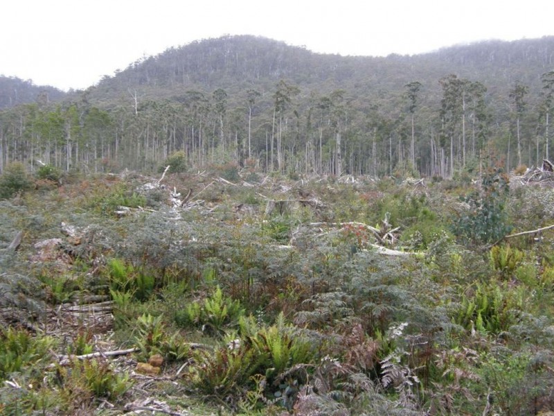 436 White Mills Road, Underwood TAS 7268