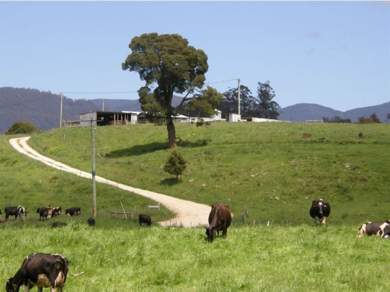 532 West Maurice Road, Ringarooma TAS 7263