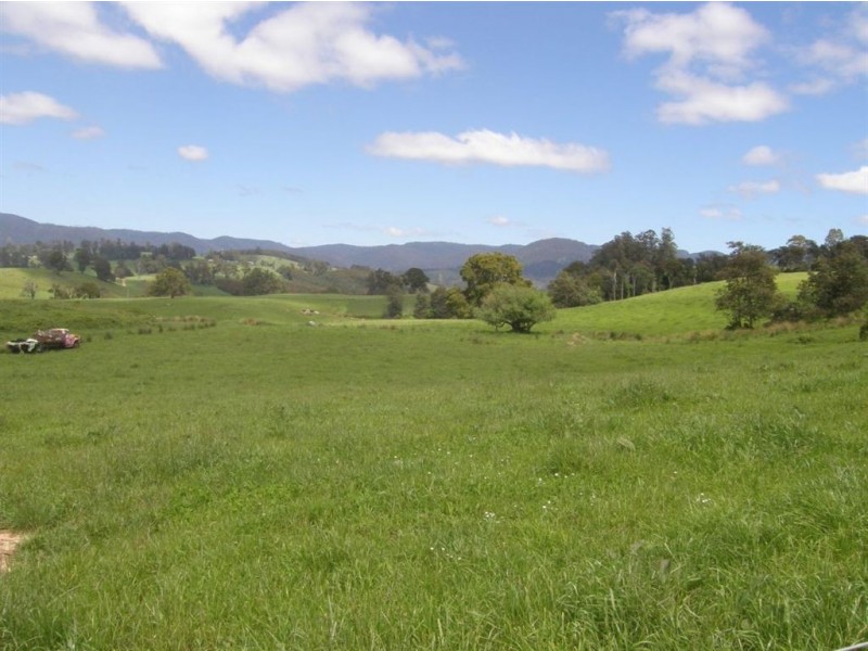 532 West Maurice Road, Ringarooma TAS 7263