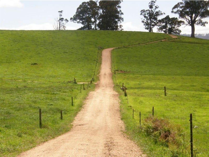 532 West Maurice Road, Ringarooma TAS 7263