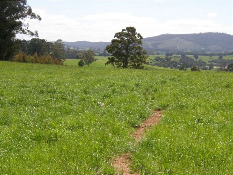 532 West Maurice Road, Ringarooma TAS 7263