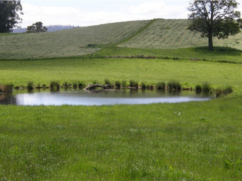 532 West Maurice Road, Ringarooma TAS 7263