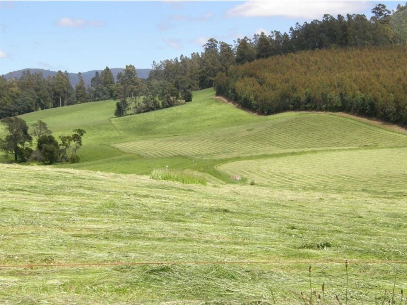 532 West Maurice Road, Ringarooma TAS 7263