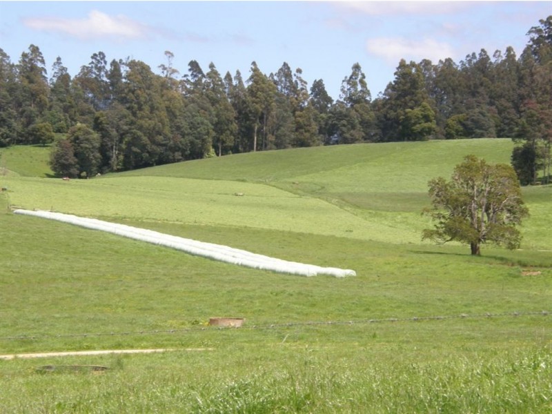 532 West Maurice Road, Ringarooma TAS 7263