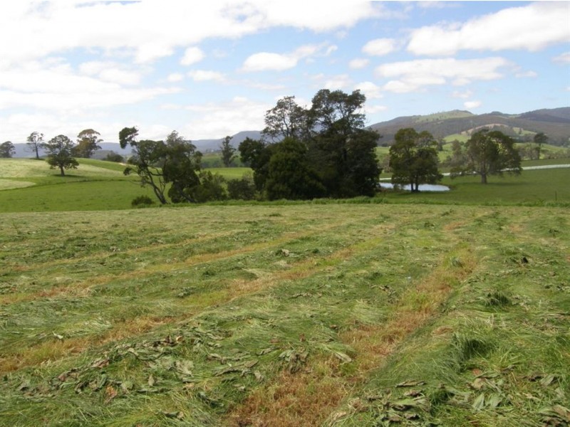 532 West Maurice Road, Ringarooma TAS 7263