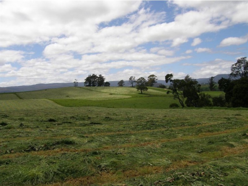 532 West Maurice Road, Ringarooma TAS 7263