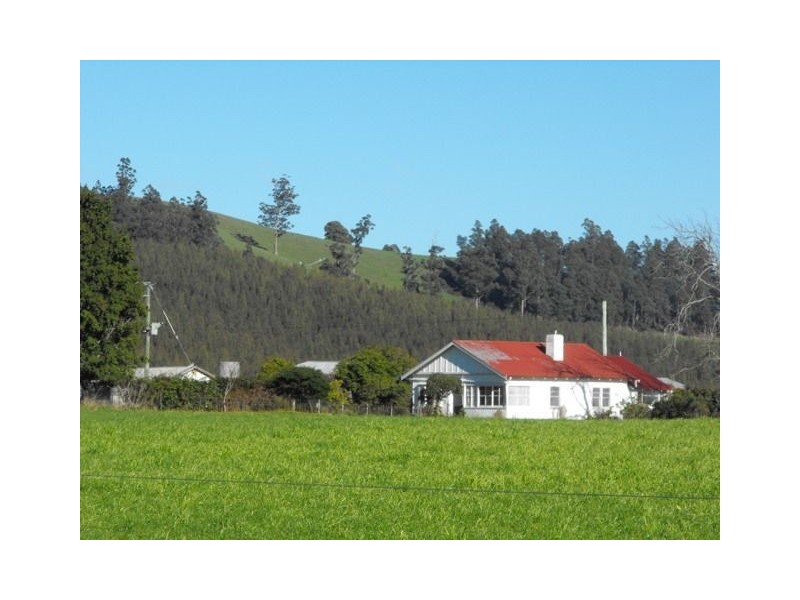 310 Mathinna Plains Road, Ringarooma TAS 7263