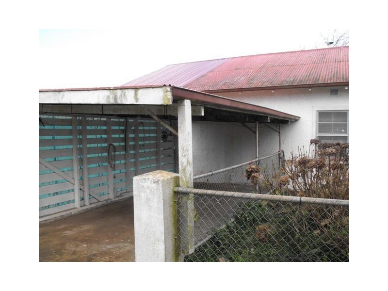 310 Mathinna Plains Road, Ringarooma TAS 7263