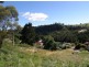 8 Church Street, Derby TAS 7264