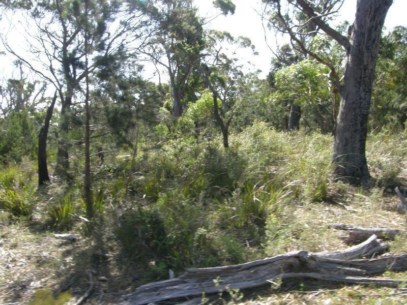 13 North Ansons Road, Gladstone TAS 7264