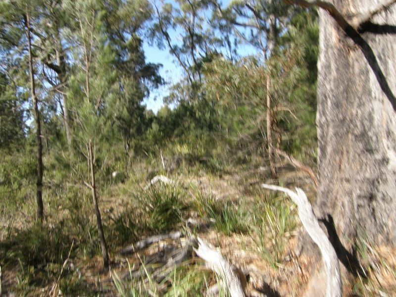 13 North Ansons Road, Gladstone TAS 7264