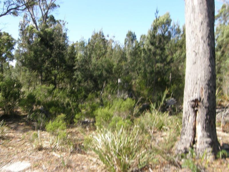 13 North Ansons Road, Gladstone TAS 7264