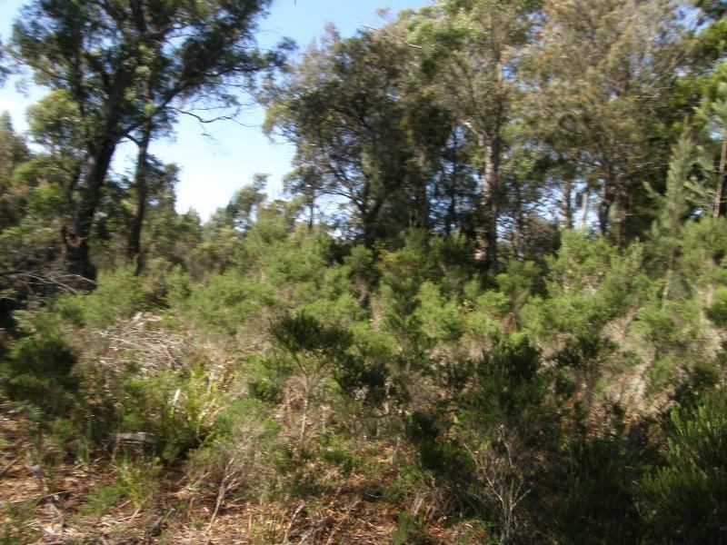 13 North Ansons Road, Gladstone TAS 7264