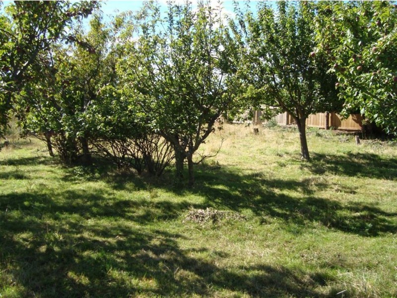 46 Winnaleah Road, Winnaleah TAS 7265