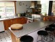 50 Main Street, Ringarooma TAS 7263