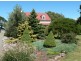 50 Main Street, Ringarooma TAS 7263