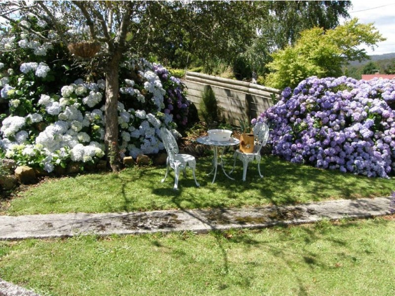 40 Scott Street, Branxholm TAS 7261