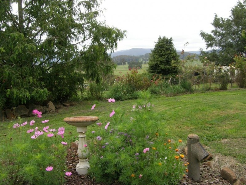 17 Charles Street, Ringarooma TAS 7263