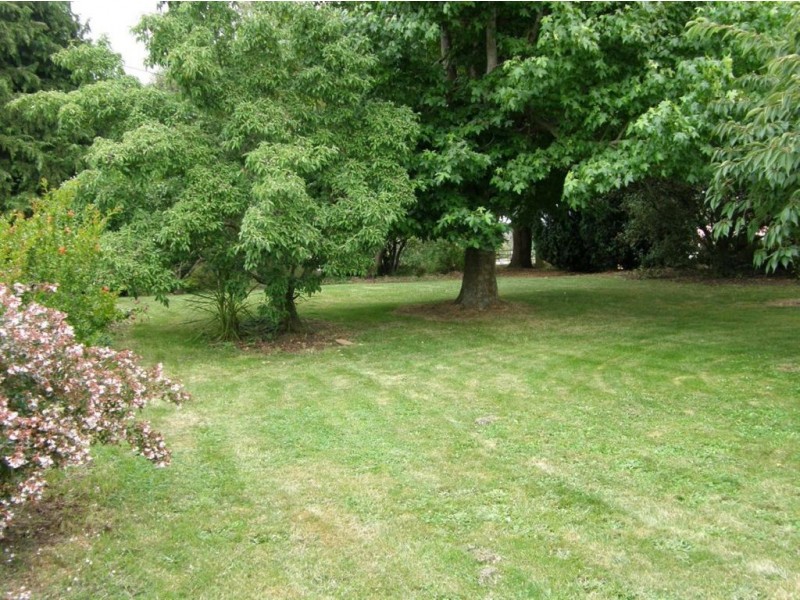 17 Charles Street, Ringarooma TAS 7263