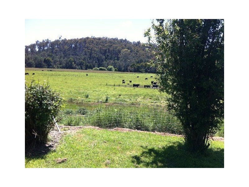 428A Jensens Road, Scottsdale TAS 7260