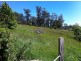 428B Jensens Road, Scottsdale TAS 7260