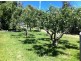 428B Jensens Road, Scottsdale TAS 7260