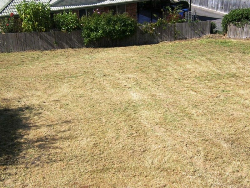19 Emma Street, Bridport TAS 7262
