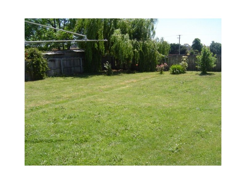 7 Brigg St, Scottsdale TAS 7260